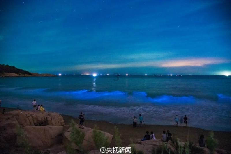 星露谷物语